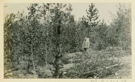 Hiker with pack surrounded by deciduous trees