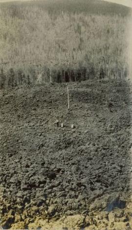 Man standing in the Nass lava beds by a telegraph pole