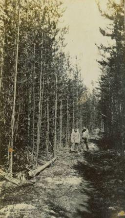 Two man standing on a path in the forest