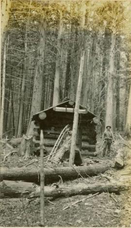 A man standing next to a telegraph line cabin in the midst of a forest