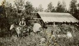 Pre-emptor's cabin in Cranberry Lake Valley with man on horseback and two packhorses