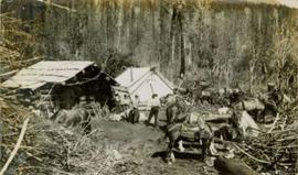 Men standing in a clearing next to a tent, a log cabin, and packhorses