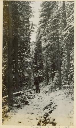 A man walking along a snow-covered path