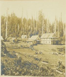 Homestead with log buildings in a clearing