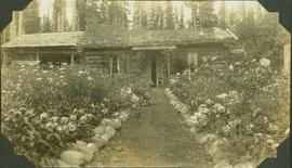 One of the Empire's most out-landish gardens made by Mr. and Mrs. Jones, Carbon River, Peace River, B.C