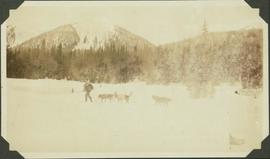 Man and dogs trekking in the snow
