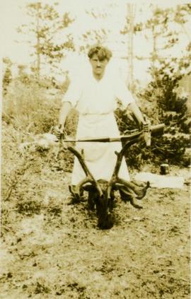 Man plowing a small plot of land with a set of caribou horns