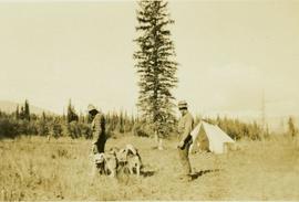 Two men and two pack dogs in a clearing