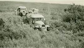 Caravan of Citroen half-tracks traversing a grassy plain in the Peace River district
