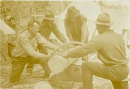 Three men sawing through a log as a fourth man holds the log