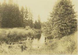 Man standing beside a creek in a forest