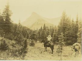 Pete Callao on horseback determining his course through a valley to Pine River