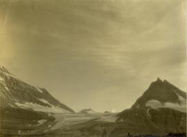 Icefield located between Mt. Ida (left) and Mt. Koona (right)