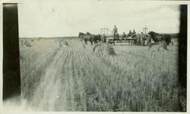 Group photo among the haystacks