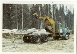 Arch-truck logging in winter