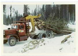 Arch truck logging