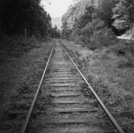 C.N.R. track at Milnes Landing