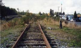 Esquimalt & Nanaimo Railway, Alberni branch line