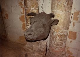 Bull's head sculpture