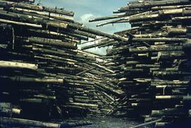 Log piles at Houston sawmill