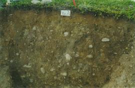 Y02-25  Div Ck soil on Reid terrace, McQuesten R - 04