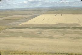 Aerial view of new farmlands in Milligan Creek