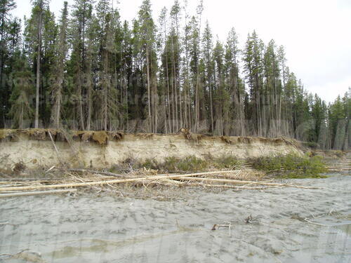 Original Digital object not accessible