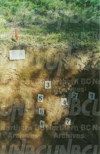 Original Digital object not accessible