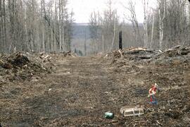 Seismic line at Mount Puggins