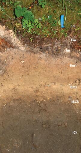 BC12-12 soil profile (annotated)