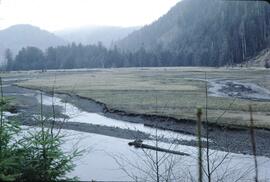 Arable delta (upper saltmarsh vegetation) at Tlell River