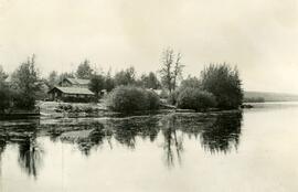 Buildings on a Treed Waterfront