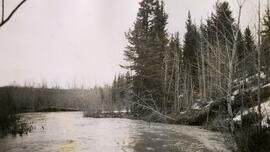 Northern BC Creek in Flood