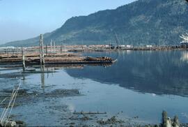 Log dump and storage at Cowichan Bay