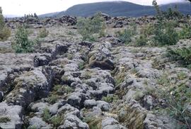 Tseax lava flows near Terrace