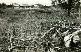Government Agent's residence, Fort Fraser