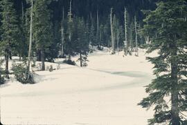 Munro Lake under snow