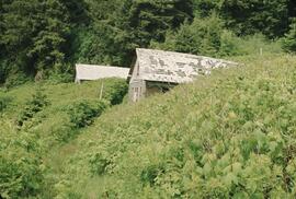 Exterior of abandoned house in the Nitinat-Clo-oose area on the West Coast Trail