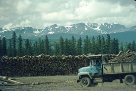 Log piles and dump truck at Houston sawmill