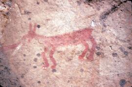 Animal pictograph on rock at Stein Valley Nlaka'pamux Heritage Park