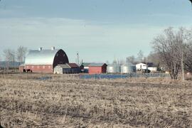 Runka farm in Fort St. John