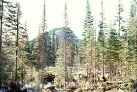 Summit Lake, March 1992