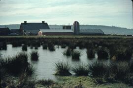Farm and wetlands near Serpentine Fen