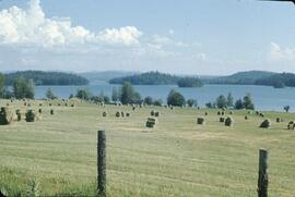 Shoreline and hay bales at Bridge Lake