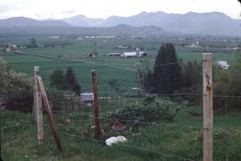 Farmlands at Matsqui