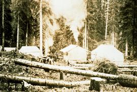 Aleza Lake Experiment Station camp with removal of logs and debris still in progress