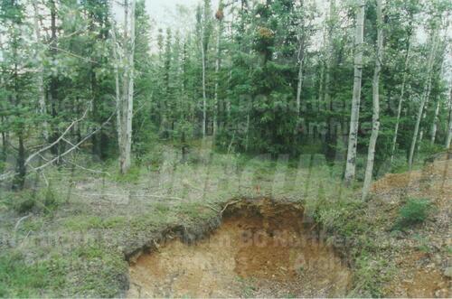 Original Digital object not accessible