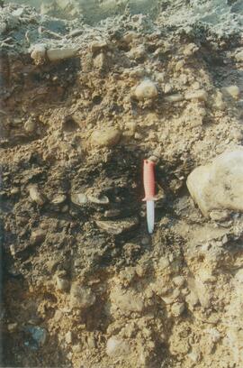 Site N04-05 Red Ochre River (5)