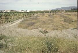 Vineyard near Kelowna subdivision development