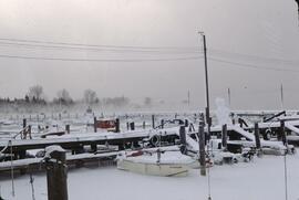 Frozen marina at Kelowna City Park